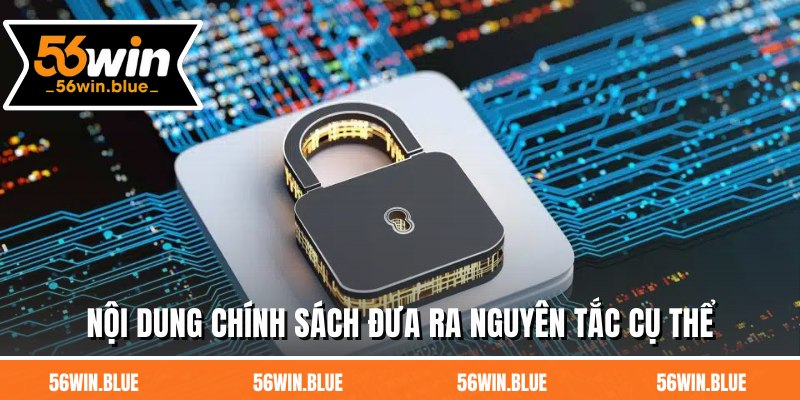 Nội dung chính sách đưa ra nguyên tắc cụ thể